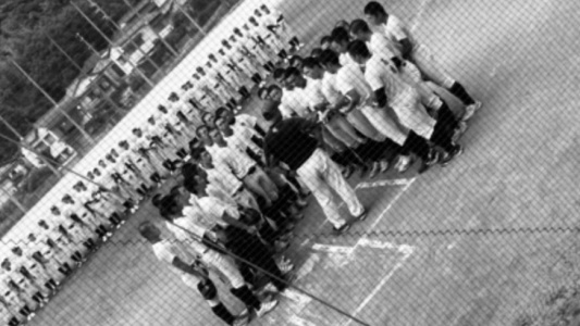 S__17530945.jpg